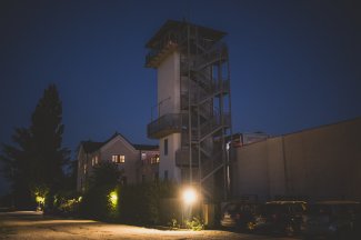 vino